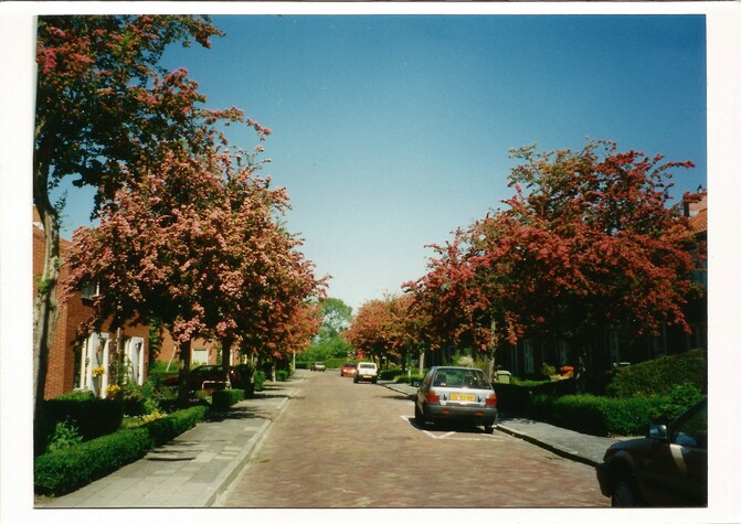 Johan Rengersstraat in de zomer van 1997